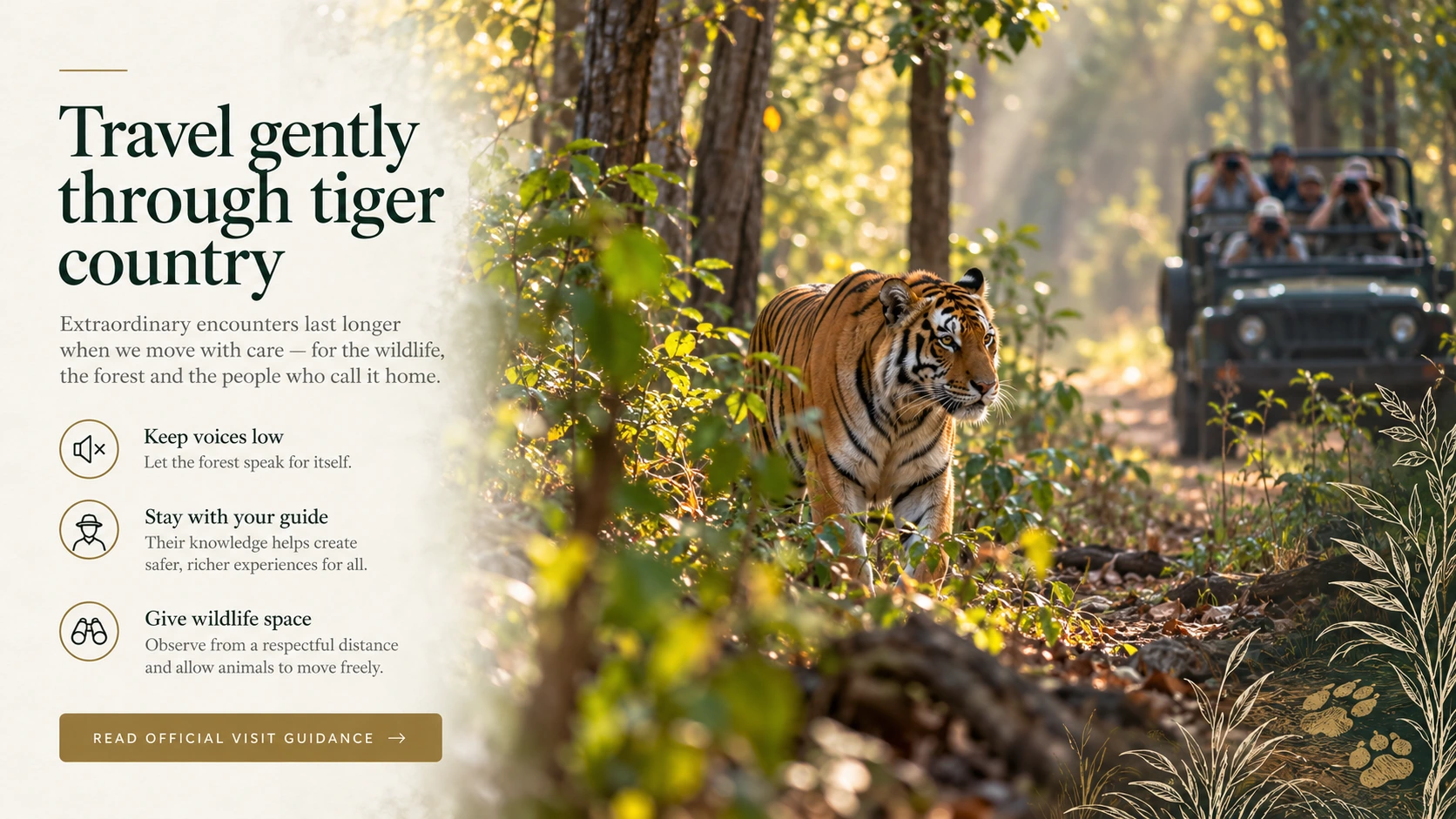 Travel gently through tiger country: keep voices low, stay with your guide, give wildlife space, and follow official visitor guidance. A tiger and safari jeep are shown in the Tadoba forest.